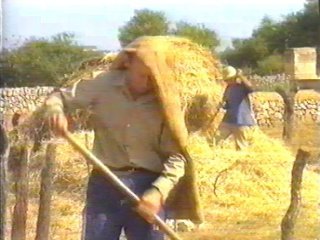 CAMPO - (82)